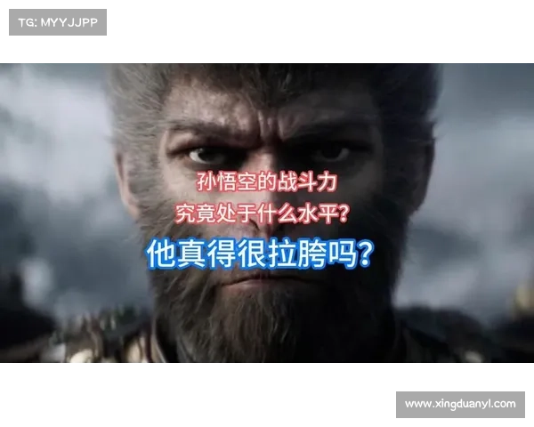 悟空如何根据战斗特点选择最优装备提升战斗力的策略分析 悟空如何根据战斗特点选择最优装备提升战斗力的策略分析