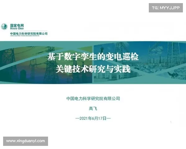 石中盐提取技术的最佳实践与创新应用探讨 石中盐提取技术的最佳实践与创新应用探讨