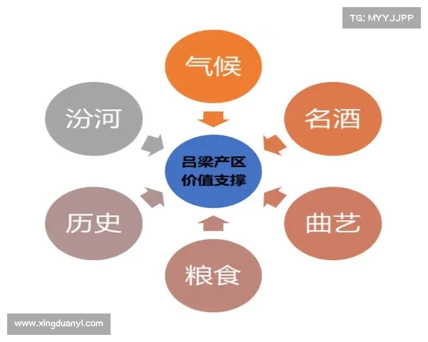 如何在失明状态下激发与培养独特的感知能力与思维方式 如何在失明状态下激发与培养独特的感知能力与思维方式